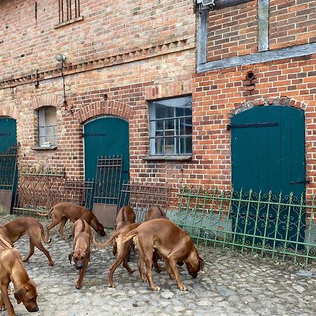 Bauernhof-Streichel-Zoo-Kombi-Familien-Suite-Im-Wald-Am-See Gulow المظهر الخارجي الصورة