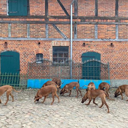 Bauernhof-Streichel-Zoo-Kombi-Familien-Suite-Im-Wald-Am-See Gulow المظهر الخارجي الصورة