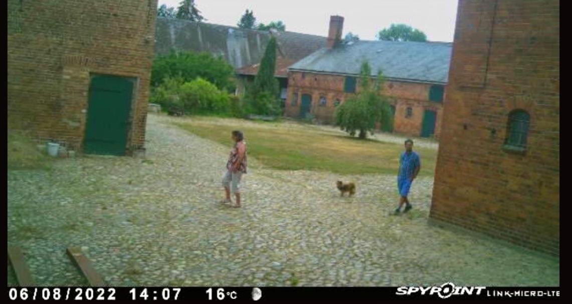 Bauernhof-Streichel-Zoo-Kombi-Familien-Suite-Im-Wald-Am-See Gulow المظهر الخارجي الصورة