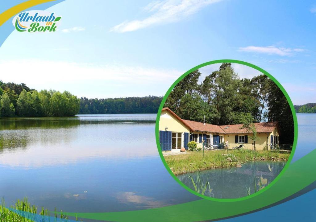 Bauernhof-Streichel-Zoo-Kombi-Familien-Suite-Im-Wald-Am-See Gulow المظهر الخارجي الصورة